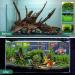 Natural Driftwood Aquarium Decor - Assorted Branches for Reptile/Fish Tank (2 Pack, 9-14 inch) - Buy Online on GoSupps.com