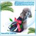 Petcute Dog Dress: Elegant Bowknot Summer Skirt for Small Dogs - Flower Tutu Wedding Lace & Princess Clothing - Buy Online on GoSupps.com