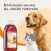 BEAPHAR Salmon oil for dogs and cats Food supplement Omega 3 and 6 Beneficial for the cardiovascular system coat and joints Energy intake 430 ml - Buy Online on GoSupps.com