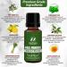 Natural Anti Fungal Nail Balm with Tea Tree Oil- Nail & Toenail Fungus Treatment | Made in USA - Buy Online on GoSupps.com