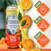 Botanical Brewing Orange Dream Kava Drink with Kava Root Extract | Refreshing Relaxation Drink with Sparkling Kava Seltzer | Gluten-Free Vegan & Low-Calorie | Naturally Sweetened with Agave | 12 oz Cans 24-Pack Pack of 24 - Buy Online on GoSupps.com