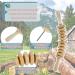 Whchiy Wooden Massage Roller | Anti-Cellulite Deep Tissue Massager with Handle - Buy Online on GoSupps.com