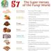 Super 7 mushroom extract powder - Fantastic Fungi - Lion's Mane Reishi Turkey Tail Cordyceps Shiitake Chaga and Maitake (36 Grams) 36 g (Pack of 1) - Buy Online on GoSupps.com