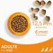 Iams Vitality - Dry Dog Food for Adult Dogs Small and Medium Breeds - Promotes Health and Vitality - Low in Fat - With Fresh Chicken - Free of: GMOs Colouring Artificial Flavouring Wheat - 3 kg - Buy Online on GoSupps.com