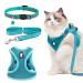 Cat dishes with a leash breakproof adjustable cat dishes breakout with cat leash 1.35 m soft cat dishes for cats small dogs and rabbits (s)