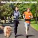 Hands Free Dog Lead with Fanny Pack for Walking Jogging Running Durable Dog Lead for Medium Large Dogs Retractable Bungee Lead Running Dog Lead with Reflective Stitches Seat Belt Buckle - Buy Online on GoSupps.com
