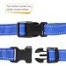 Heele Reflective Dog Collar for Small Dogs - Soft Neoprene Padded Nylon XS 20-30cm Royal Blue - Perfect for Puppies - 1-Pack - Buy Online on GoSupps.com
