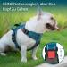 POPOT No Pull Dog Harness - Reflective Adjustable & Soft Padded Vest for Small to Large Dogs | XS Tumalo Teal - Buy Online on GoSupps.com