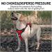 Docio Dog Harness for Medium & Large Dogs | No Pull Safety Design with Handle & Reflector Strip | Red Mesh (1 Pack) - Buy Online on GoSupps.com