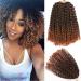12 Inch Short Passion Twist Crochet Hair 8 Bundles Marlybob Crochet Hair Kinky Curly Crochet Hair for Black Women Water Wave Crochet Braids Hair for Kids (8Bundles12 Inch, 1B/30#) 8Bundles12 Inch 1B/30#