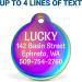 Personalized Rainbow Steel, Black Steel, or Brass Dog Tags - Custom Engraved for Dogs and Cats - Buy Online on GoSupps.com
