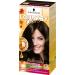 Country Colors Intensive Tint 70 Brazil Dark Brown - Ammonia-Free Hair Color | 3 x 123ml | Lasts 8 Weeks - Buy Online on GoSupps.com