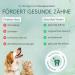 Pawlie's Dental Spray for Dogs | Natural Tartar Remover & Bad Breath Care | Vegan Sugar-Free Tooth Spray for Healthy Muzzle Hygiene - Buy Online on GoSupps.com