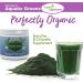 Organic Aquatic Greens Spirulina & Chlorella Powder - 135g by Perfect Supplements - Buy Online on GoSupps.com