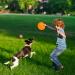 Vivifying Frisbee Dog - 2 Pack 18cm Natural Rubber Dog Frisbees for Land & Water (Green & Orange) - Durable & Fun! - Buy Online on GoSupps.com