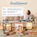 Buy Scentsationals Magic Spell Wax Melts - Strong Scented Wax Cubes Long Lasting 2.5 oz (6 Cubes) - Fast International Shipping - Buy Online on GoSupps.com