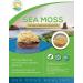 Wildcrafted Organic Irish Sea Moss Gel - Non-GMO, Natural, Vitamin & Mineral-Rich Superfood for Digestion & Immune Support (Pineapple) - Buy Online on GoSupps.com