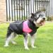 Shinmax Winter Dog Coat | Warm Jacket for Small & Medium Dogs | Padded Vest with Breast Protection | Pink - Buy Online on GoSupps.com