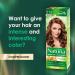 Joanna Naturia Color Permanent Hair Color Cream Goodness of Milk Proteins and Peach Extracts Premium-Quality Hair Dye Provides Soft and Lustrous Hair Long-Lasting Hair Colors Copper Blond - Buy Online on GoSupps.com
