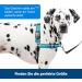 Petsafe Easy Walk Deluxe Harness & 1.8m Leash - Tear-Resistant Dog Running Gear | Small Ocean Blue/Black - Buy Online on GoSupps.com