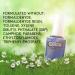 Color Club Nail Lacquer Halo Hues OVER THE MOON 997 15 ml - Buy Online on GoSupps.com