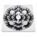 HeyAlice 25mm 3D Dramatic Mink Eyelashes - Pack of 7 Pairs - Buy Online on GoSupps.com