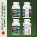 Vitanergy Ginkgo Biloba Enhanced Bioavailability for Cognitive Function & Peripheral Circulation Support 60mg 60 Capsules - Canadian Made - Buy Online on GoSupps.com