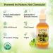 Savage Organics Organic Amla Oil - 100% Pure Cold Pressed Hair & Beard Oil - Indian Gooseberry for Hair Growth & Scalp - 2oz or 4oz Glass Bottle - Buy Online on GoSupps.com