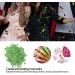 Fruit Nail Art Slices Fruit Slices for Nail Art 10g/pack Fruit Shaped Nail Art Slices Polymer Clay Nail Art Glasses Decoration Accessories for DIY Crafts Nail Art and Cellphone Decoration(Kiwi) - Buy Online on GoSupps.com