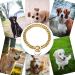 Fully Welded 18K Gold Dog Collar Heavy Duty Choke Cuban Dog Chain for Large Dogs Strong Stainless Steel Links Slip Chain Training Collar (24inch(Fit 20 -22 Dog s Neck) Wide:15mm-18K Gold Plated) 24inch(Fit 20 -22 Dog s Neck) Wide:15mm-18k Gold Plated - Buy Online on GoSupps.com