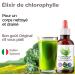 Chlorophyll Liquid Drops 100ml | Purified Chlorophyll Antioxidant & Detoxifying - Liver & Gut Colon Detox | Vegetable Glyceric Macerate | J.Armor Pharma - Buy Online on GoSupps.com