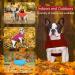 Windproof Winter Fleece Dog Jacket for Cold Weather Reflective Pet Vest for Large Breeds - Burgundy XL - Buy Online on GoSupps.com
