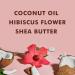 SheaMoisture Coconut & Hibiscus Curly Hair Care Set - Moisturizing Shampoo Conditioner & Curl Shine Mist | International Shipping Available - Buy Online on GoSupps.com