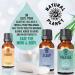 Natural Planet Breathe Essential Oil Blend 15ML with Neroli for Respiratory Health - Buy Online on GoSupps.com