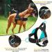 AUTOWT No Pull Dog Harness and Leash Set No Choke Escapeproof Neck & Chest Adjustable Reflective Dog Vest Harness 5.9 Ft Dog Leash Anti-Twist Pet Lead Soft Padded for Large Medium Dog(Black M) M Black - Buy Online on GoSupps.com