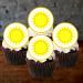 24 Sun Cake Topper Edible Sunshine Baby Shower Decorations First Trip Around The Sun Cake Topper Sunshine Decorations Sun Cupcake Toppers Sunshine Cupcake Toppers Space Cake Topper (UNCUT) - Buy Online on GoSupps.com