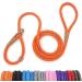 lynxking tow lines for dogs dog linen retrieverbenleine Gleine Zukleine for small medium-sized large dogs (orange train stop 1.3cm x 150cm) Train stop-1.3cm x 150cm orange