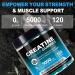 Creatine Monohydrate Gummies 5000 mg 120 Sugar-Free Vegan Creatine Chews for Women and Men - Creatine Supplement for Daily Routine - Blueberry Flavor - Buy Online on GoSupps.com