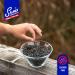 Buy SALMIX Handmade Sugar-Free Ammonium Chloride Pastilles 150g Tin | International Shipping Available - Buy Online on GoSupps.com