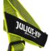 Julius-K9 Belt Harness M/0 Neon Grey | Premium Dog Harness for Comfort & Safety | International Shipping Available - Buy Online on GoSupps.com