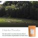 Bancha Hojicha Organic Green Tea - Houjicha Roasted Tea From Japan - Japanese Tea 200g - Buy Online on GoSupps.com