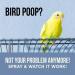 Natural Rapport Bird Cage Cleaner - Powerful Bird Poop Spray Remover - 32 Fl Oz - Buy Online on GoSupps.com