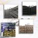 Mini Carabiner Set (10 Pieces) - Small Carabiner Hooks for Keys Camping & Outdoor Use - Buy Online on GoSupps.com