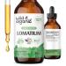 Wild & Organic Lomatium Root Tincture - Lomatium Dissectum Liquid Drops - Vegan Alcohol Free Supplement - 4 fl oz 4 Fl Oz (Pack of 1)