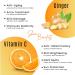 Ginger Face Serum with Vitamin C & Turmeric | Organic Acne Treatment for Clear Skin Hydration & Anti-Aging | 1 FL OZ - Buy Online on GoSupps.com