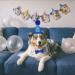 Shop Dher Pet Birthday Set - Gold Sequin Hat & Decor for Dogs & Cats - Festive Party Accessories (Blue) - Buy Online on GoSupps.com