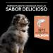 Purina Proplan Medium Puppy Derma cahorro salmon Pack of 1 x 3kg Total 3kg - Buy Online on GoSupps.com