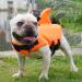 Fonlam Life Jacket for Dogs - Dog Swimming Vest for Small & Medium Breeds | Orange Lifeguard Vest for Pool Safety - Buy Online on GoSupps.com
