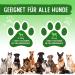 Animal Power Joint Tablets for Dogs - Made in Germany | 200 MSM & Teufelsclaw Tablets with Green Lipped Shell for Joint & Bone Health - Buy Online on GoSupps.com