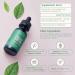 Alma Verde Liquid Chlorophyll Drops - Chlorophyll Water with Aloe Vera Juice for Body Odor Bloating Relief & Gut Health - Natural Deodorant Alternative for Women - Skin Glow & Detox - Vegan - 30ml - Buy Online on GoSupps.com